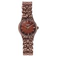 Poze Poze Quartz Analog Brown Dial Brown Metal Strap Watch For Women - image number 1