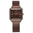Poze by Sonata Quartz Analog Brown Dial Stainless Steel Strap Watch for Women - image number 0