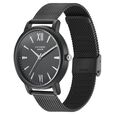 Sonata Poze Quartz Analog Black Dial Mesh Strap Watch for Men - image number 3