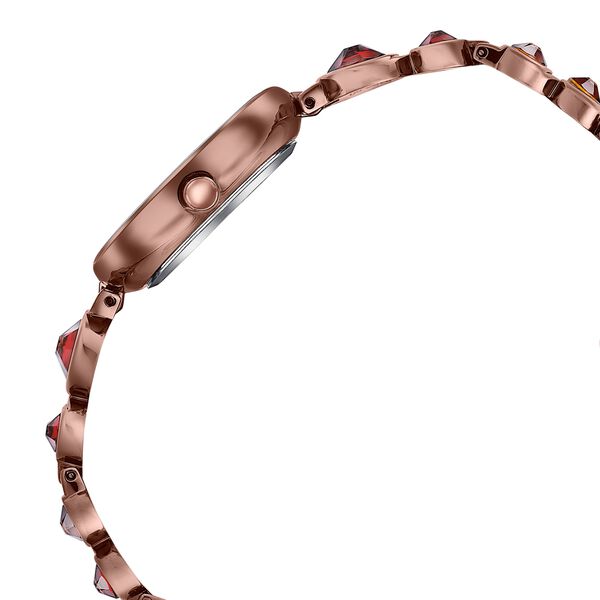 Sonata Aria Timeless Treasures Quartz Analog Brown Dial Bi Metal Strap Watch For Women - image number 3