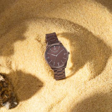 Sonata Poze Quartz Analog Brown Dial Stainless Steel Strap Watch For Men