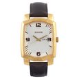 Sonata Quartz Analog with Day and Date Brown Dial Stainless Steel Strap Watch for Men