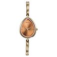 Sonata Colours of Earth Quartz Analog Brown Dial Metal Strap Watch For Women - image number 0