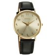 Sonata Regional Edition Hindi Quartz Analog Silver Dial Leather Strap Watch For Men