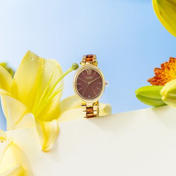 Sonata Poze Quartz Analog Brown Dial Bimetal Strap Watch For Women
