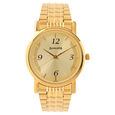 Sonata Quartz Analog with Day and Date Champagne Dial Stainless Steel Strap Watch for Men