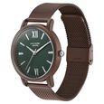 Sonata Poze Quartz Analog Green Dial Mesh Strap Watch for Men - image number 3