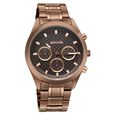 Sonata Summit Quartz Multifunction Brown Dial Brown Metal Strap Watch For Men - image number 1