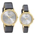 Sonata Quartz Analog Silver Dial Metal Strap Watch for Couple