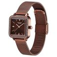 Poze by Sonata Quartz Analog Brown Dial Stainless Steel Strap Watch for Women - image number 2