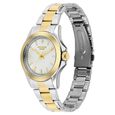 Sonata Poze Quartz Analog White Dial Two Toned Stainless Steel Strap Watch For Men - image number 2