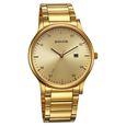 Sonata Quartz Analog with Date Champagne Dial Watch for Men - image number 0