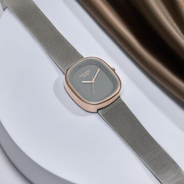 Sonata Poze Quartz Analog Grey Dial Mesh Strap Watch for Women