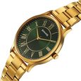 Sonata Traditional Essentials Quartz Analog Green Dial Golden Metal Strap Watch For Men - image number 2