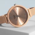 Sonata Poze Quartz Analog Purple Dial Mesh Strap Watch for Women