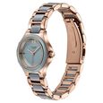 Poze By Sonata Quartz Analog Grey Dial Two Toned Metal & Plastic Strap Watch For Women - image number 4