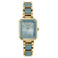 Poze Poze Quartz Analog Blue Dial Two Toned Metal & Plastic Strap Watch For Women - image number 1