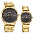 Sonata Alloy Pairs Quartz Analog Grey Stainless Steel Strap for Couple - image number 0