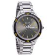 Sonata Quartz Analog with Day and Date Grey Dial Metal Strap Watch for Men - image number 0