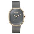 Sonata Poze Quartz Analog Grey Dial Mesh Strap Watch for Women - image number 1