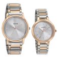 Sonata Quartz Analog Silver Dial Metal Strap Watch for Couple