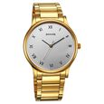 Sonata Quartz Analog Silver Dial Watch for Men - image number 0
