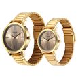 Sonata Alloy Pairs Quartz Analog Brown Stainless Steel Strap for Couple - image number 1