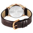 Sonata Quartz Analog with Day and Date Brown Dial Watch for Men - image number 3