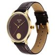 Sonata Gold Quartz Analog Regal Maroon With Gold Coin Dial Brown Leather Strap Watch For Men - image number 2